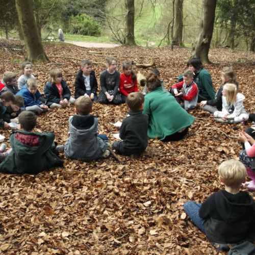 QE Country Park 030